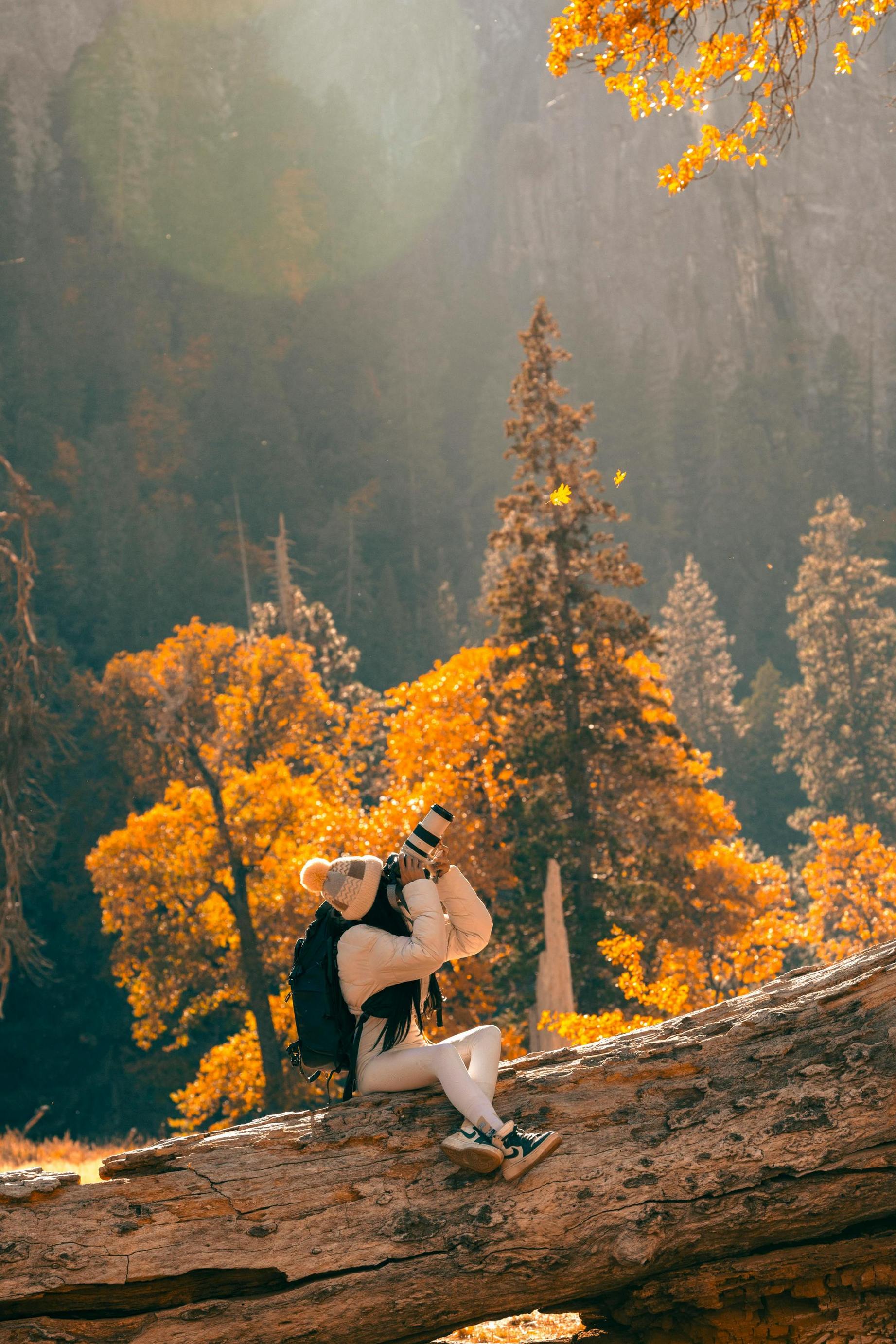 1843x2764, 569 Kb / дерево, лес, фотоаппарат, кроссовки, шапка, рюкзак, ствол, бревно