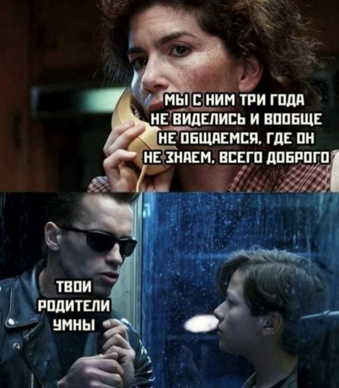 480x549, 58 Kb / сара,терминатор,джон,мем,мошенники