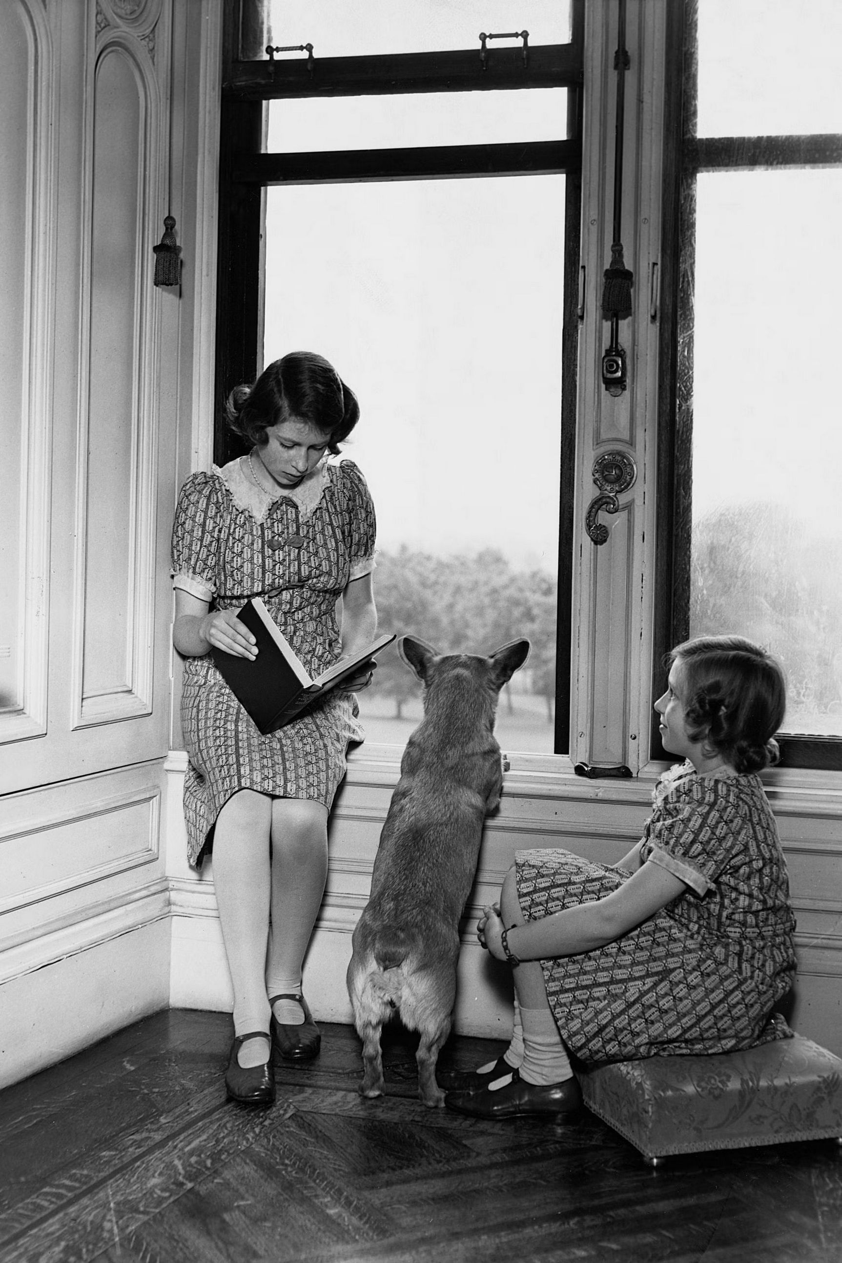 1725x2585, 575 Kb / королева Елизавета, принцесса Маргарет, ч/б, собака, корги, книга, окно, пуф, Англия