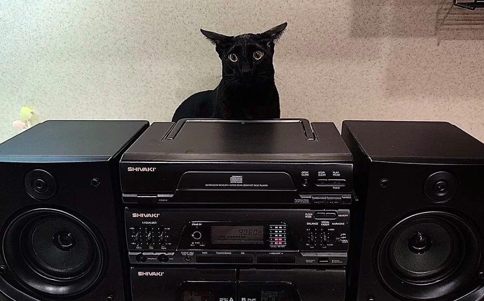 945x588, 408 Kb / кот, черный, глупый, shivaki, магнитола, динамики, меломан