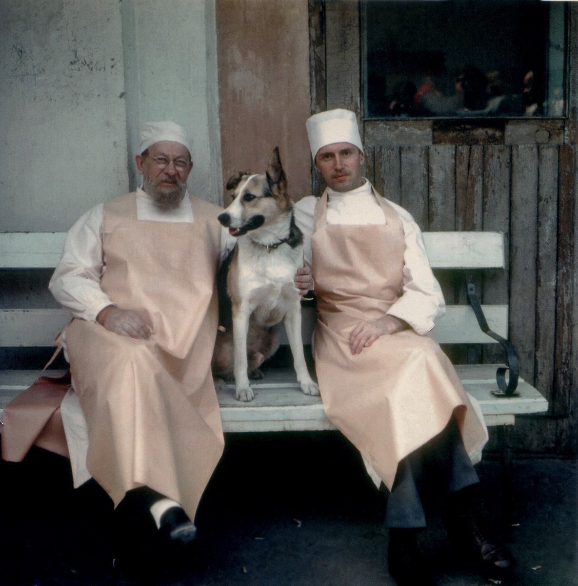 1185x1200, 212 Kb / Собачье сердце, собака, фартук, Евгений Евстигнеев