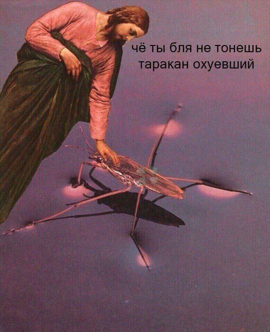 540x664, 52 Kb / таракан, водомерка, ИИсус