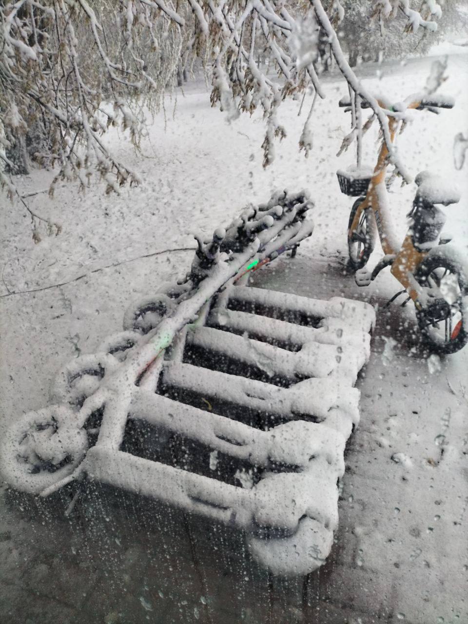 960x1280, 178 Kb / Москва, самокат, снег