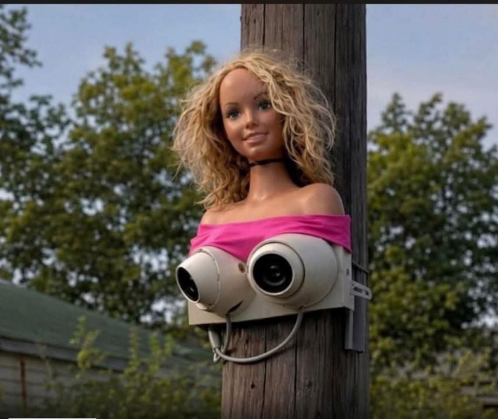 1019x857, 316 Kb / столб,камеры,манекен