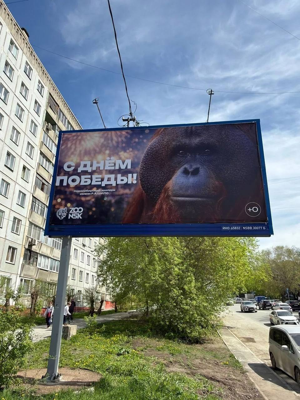 960x1280, 227 Kb / Новосибирск, зоопарк, плакат, орангутанг