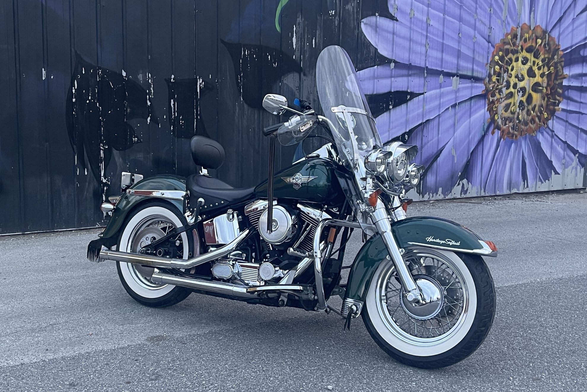 1980x1323, 541 Kb / harley davidson, мотоцикл, забор, ромашка