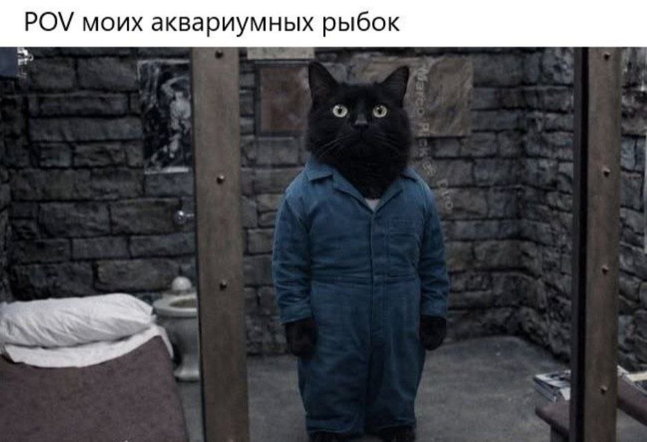 939x642, 82 Kb / фантазии,котэ,revese,глагол