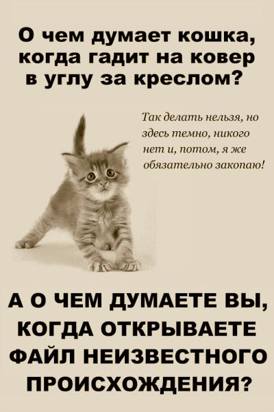 400x600, 33 Kb / котёнок,ошибка,файл,любопытство