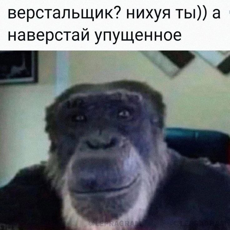 736x736, 84 Kb / обезьяна, верстальщик, наверстай, упущенное