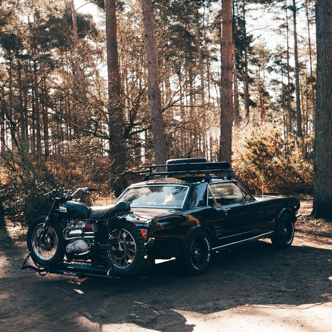 1080x1080, 430 Kb / автомобиль, классика, ретро, ford, мотоцикл, багажник, запаска, колесо, лес, дерево