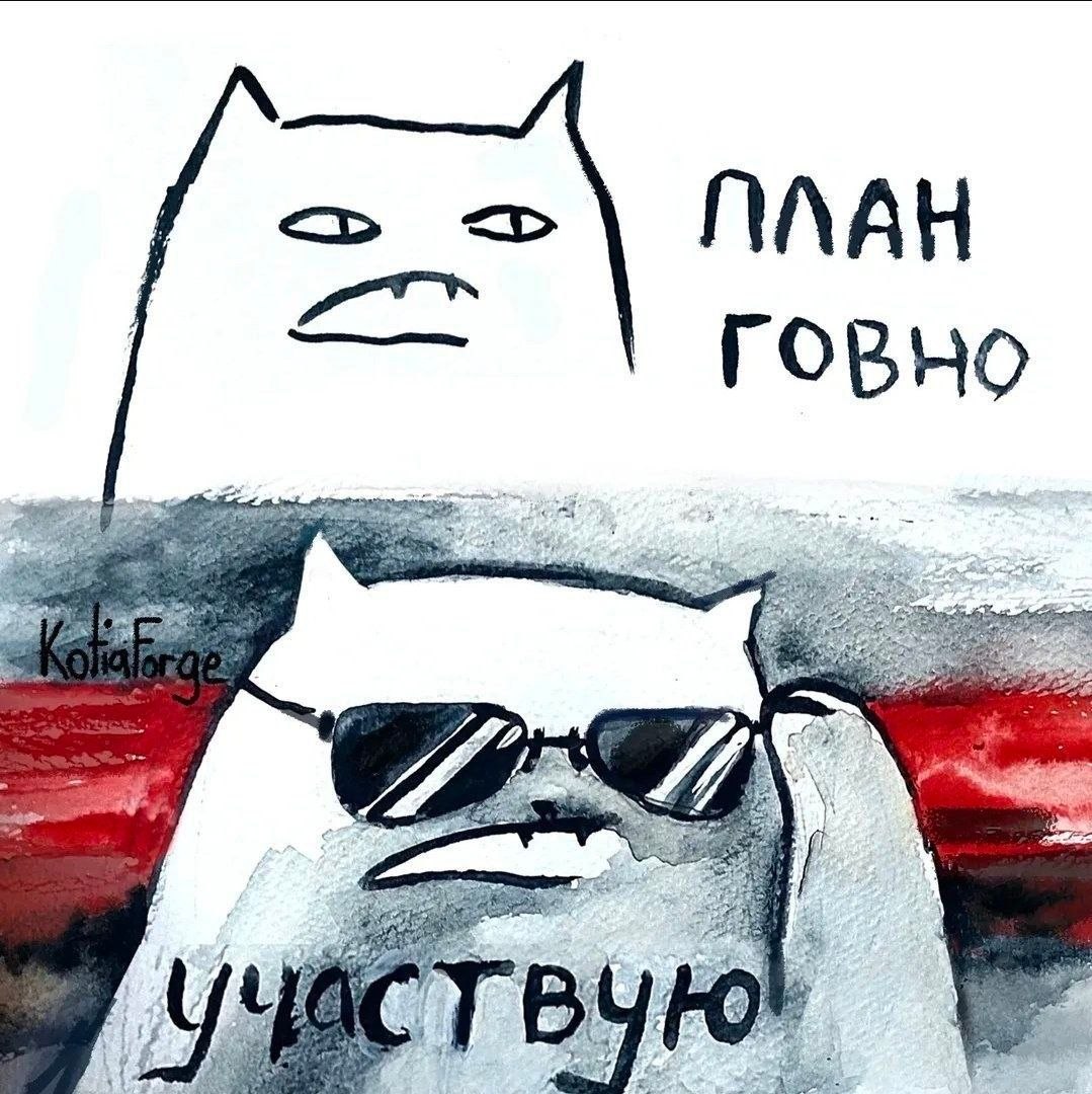 1079x1080, 208 Kb / план, говно, кот