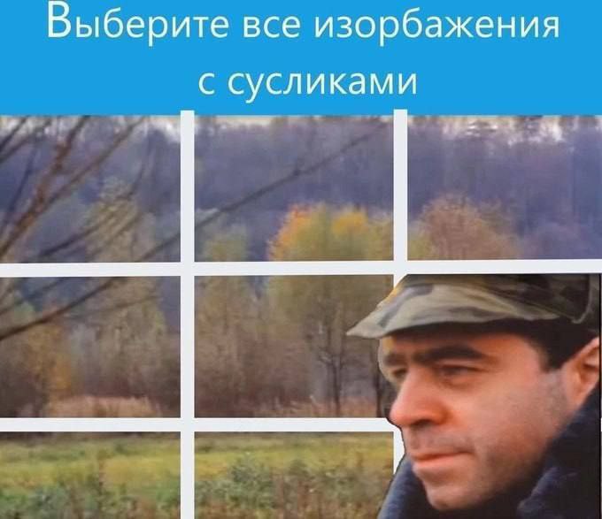 680x587, 48 Kb / капча, суслик, ДМБ