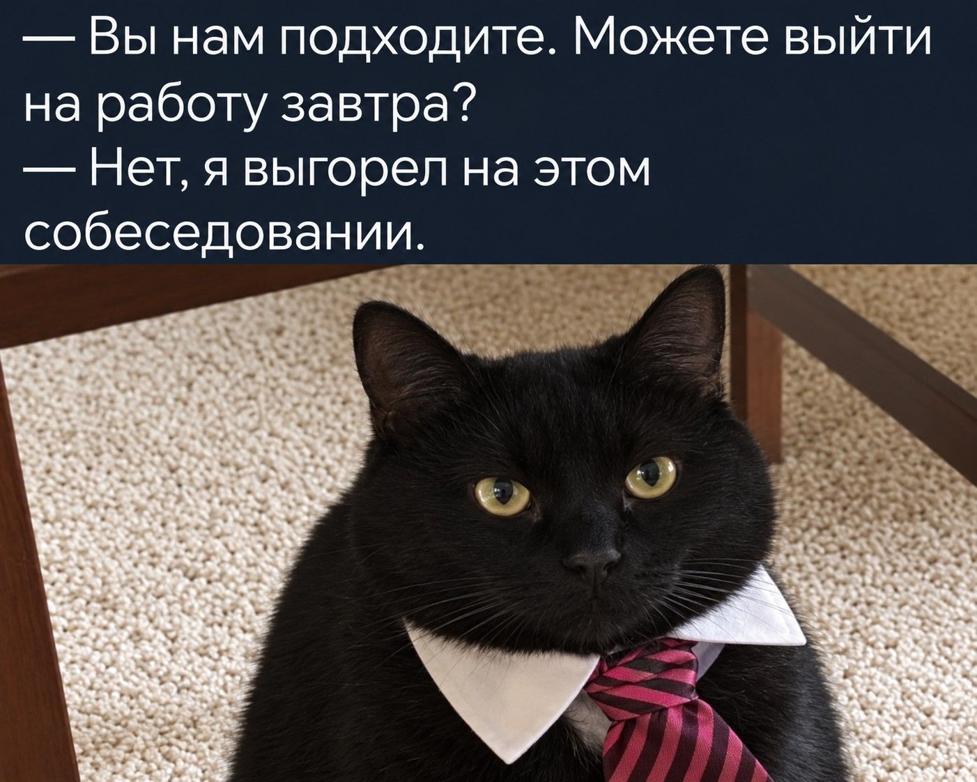 1402x1122, 213 Kb / собеседование, выгорание, работа, кот, галстук