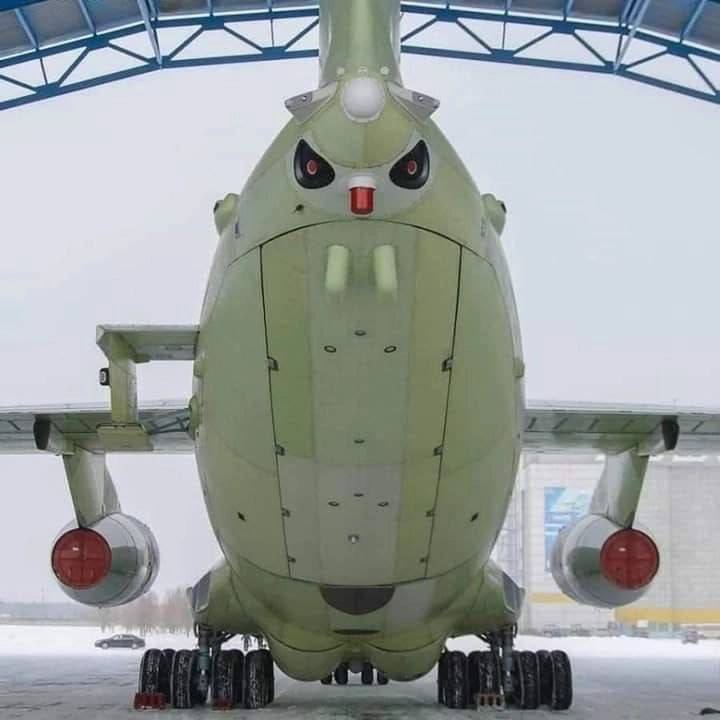 720x720, 39 Kb / Ил-78, самолет, показалось, морда, лицо, насекомое, птица, руки в боки