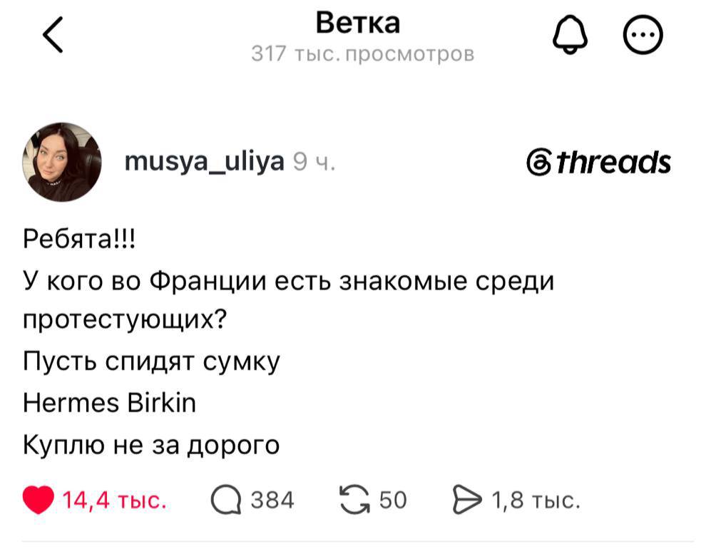 1004x770, 41 Kb / сумка, Франция, Hermes, Birkin