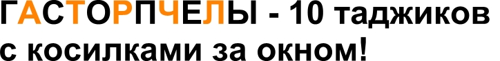 724x89, 42 Kb / надпись