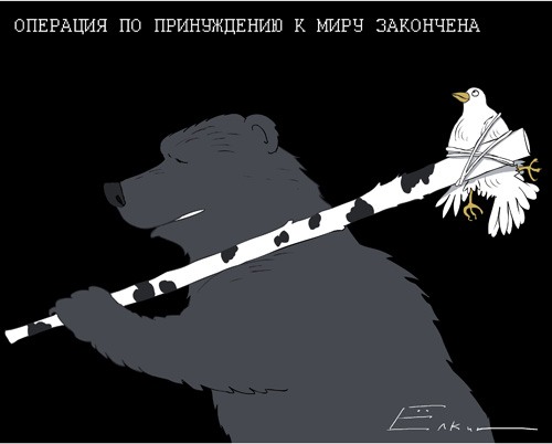 500x402, 24 Kb / медведь, дубина, голубь, принуждение к миру