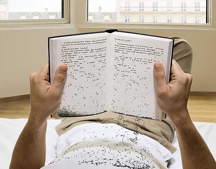 704x552, 45 Kb / книга, буквы