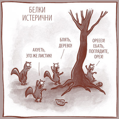 400x400, 48 Kb / белки, дерево