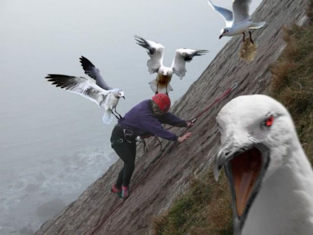 640x480, 38 Kb / скалолаз