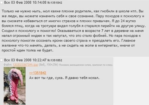 500x351, 92 Kb / индюк, форум, страх