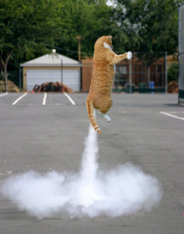 628x800, 63 Kb / которокета, дым, взлёт