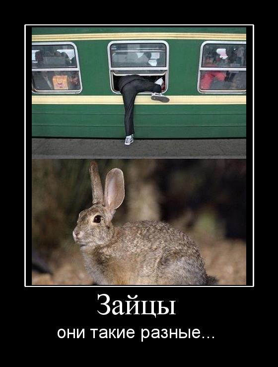 560x738, 46 Kb