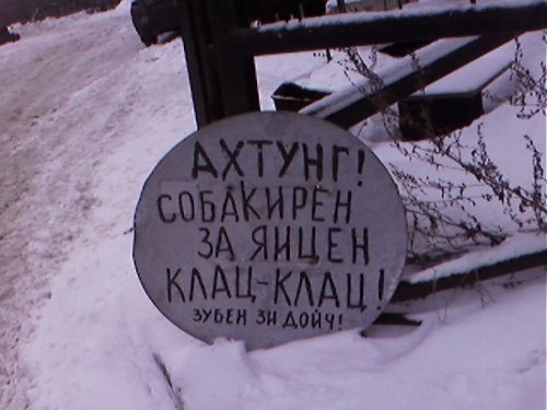 500x375, 36 Kb / собака, табличка, яйца