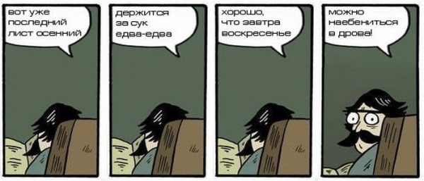 600x257, 108 Kb / дрова, осень, воскресенье