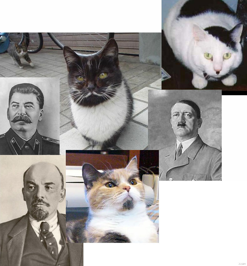790x853, 107 Kb / кот, ленин, сталин, гитлер