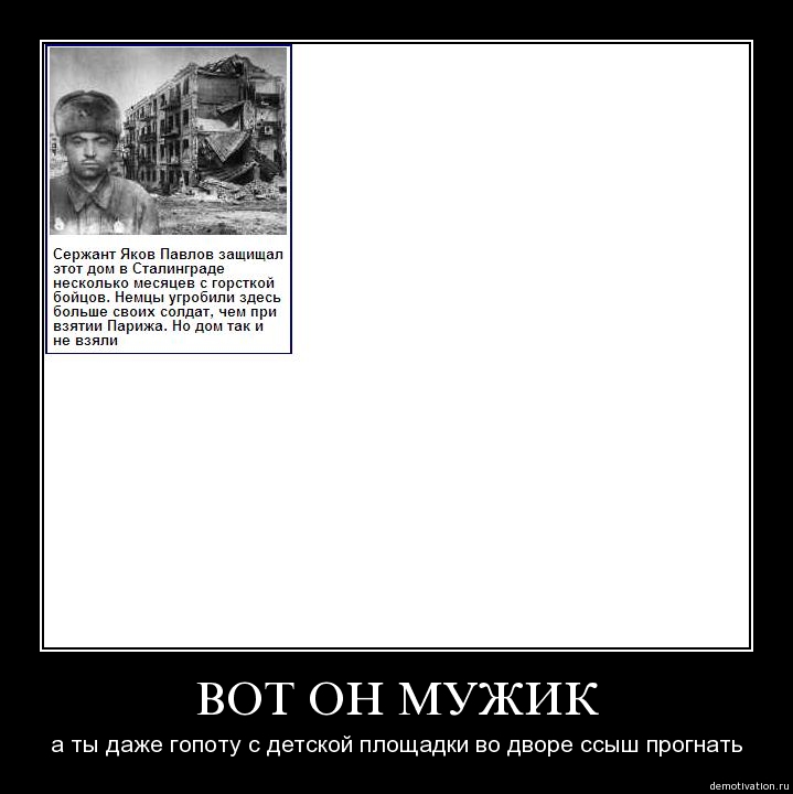719x720, 87 Kb / павлов, сталинград, демотиватор