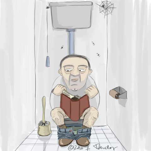 480x480, 26 Kb / туалет, книга