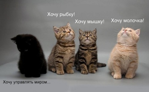 500x308, 32 Kb / властелин