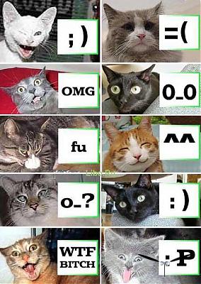 284x400, 34 Kb / кот, кошки, смайлики