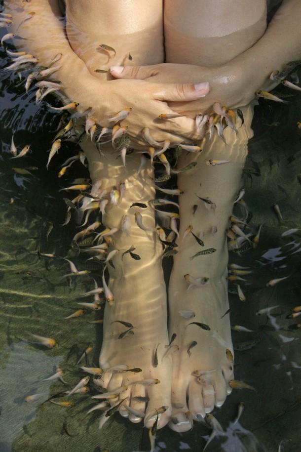 610x915, 67 Kb / вода, рыбы, ноги