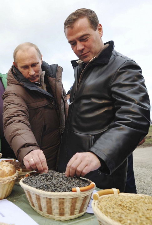 485x718, 64 Kb / путин, медведь, семки