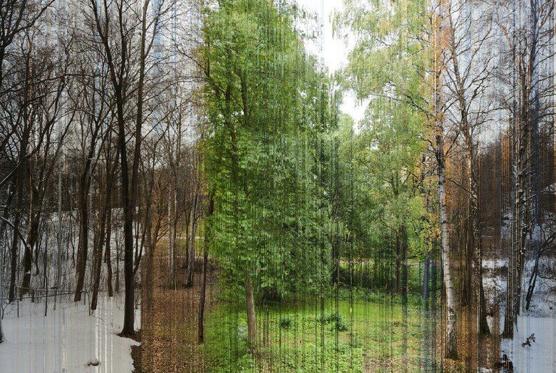 780x524, 160 Kb / сезоны, весна, зима, лето, осень, пейзаж, коллаж, береза