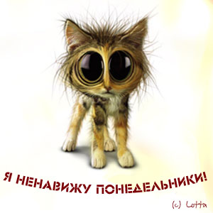300x300, 22 Kb / Понедельник, кот, рисунок