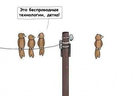 460x318, 13 Kb / птицы, столб, комикс, провод, беспроводные