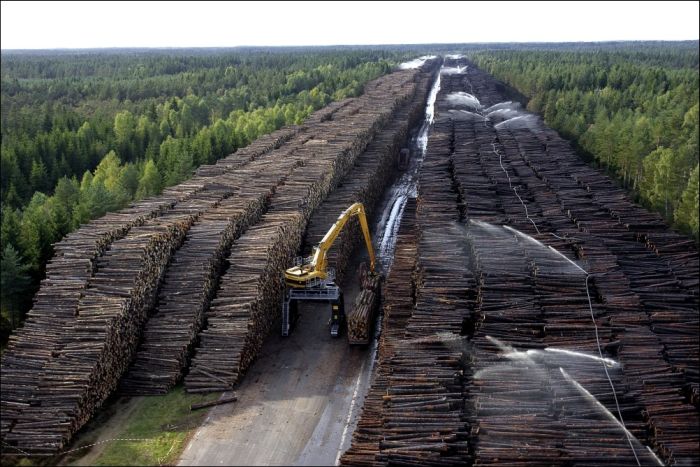 700x467, 79 Kb / лесозаготовка, бревна, экскаватор, склад, фонтан