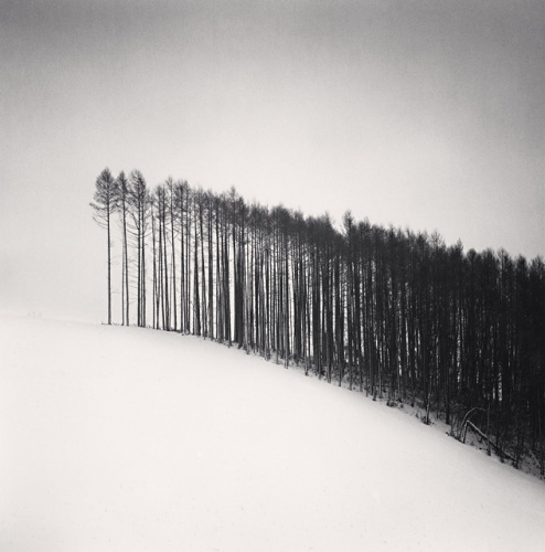 494x500, 69 Kb / гора, деревья