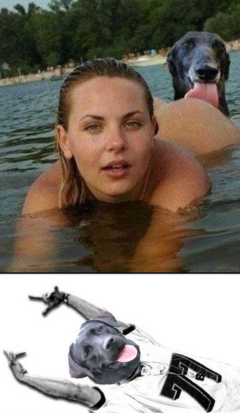 351x604, 47 Kb / девушка, собака, вода