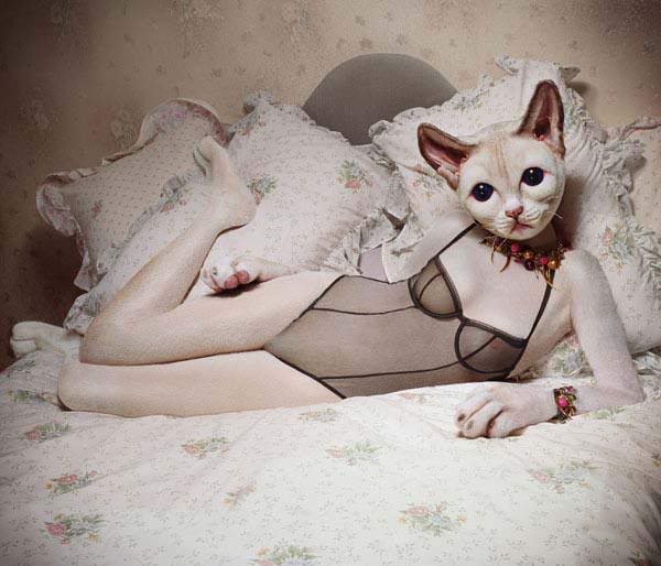600x514, 42 Kb / кошка, женщина, постель, белье