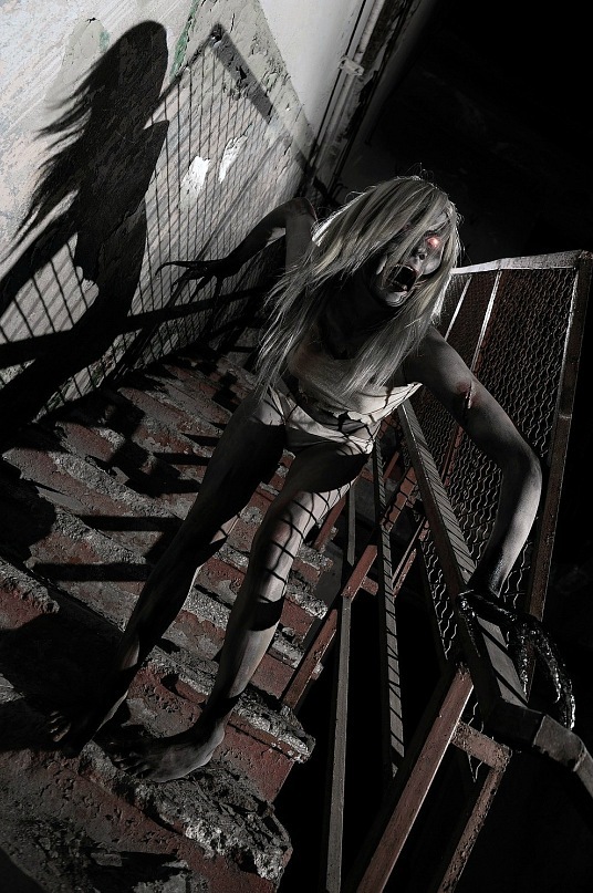 536x807, 173 Kb / косплей, L4D, kasuzameyuu, Left 4 Dead,