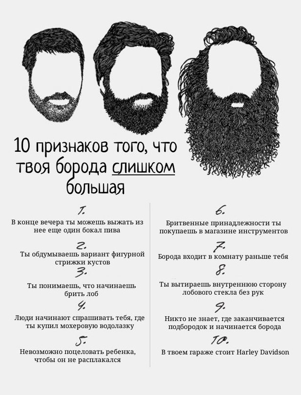616x807, 98 Kb / борода, 10 признаков