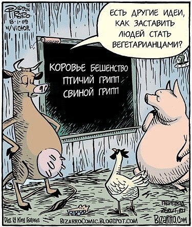 375x444, 79 Kb / корова, свинья, петух, бешенство, грипп, вегетарианцы