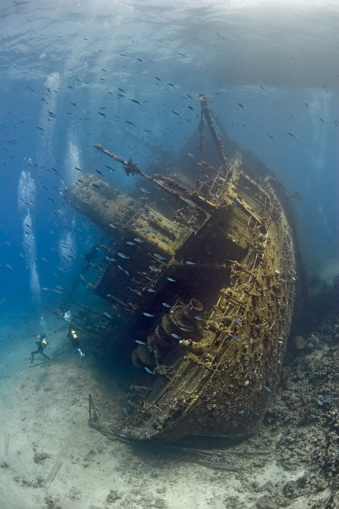 683x1024, 193 Kb / корабль, утонул, рыбы, море, аквалангисты, дайверы
