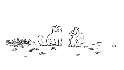 500x281, 50 Kb / кот, еж, саймон, лист