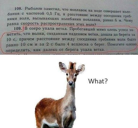581x540, 101 Kb / олень, задача