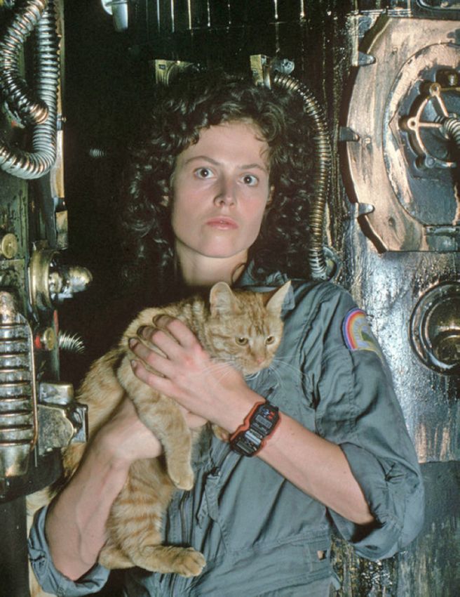 656x850, 111 Kb / рипли, чужой, котэ, Сигурни Уивер, Sigourney Weaver, фантастика, кино